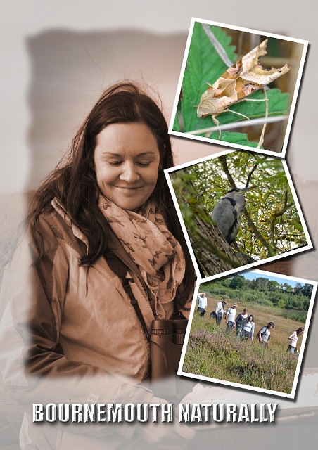 Holiday Template 1-copy-copy-copy-copy-copy-1-copy-1-copy-copy-copy-1-copy-copy-copy-1-copy-copy-1-copy-copy-copy-copy-1-copy-copy_edited-1.jpg - HEATHER DIXON PROJECT LEADER OF BOURNEMOUTH NATURALLY - SPRING 2014
